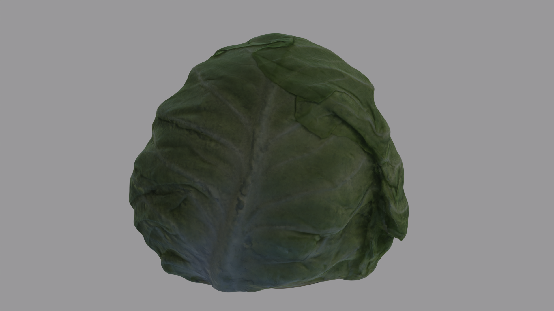 Cabbage Head preview image 3